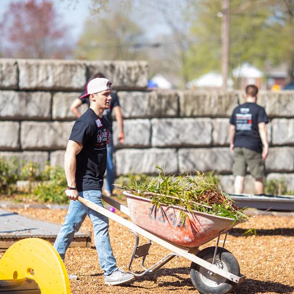 Student pushing wheelbarrel full of branches