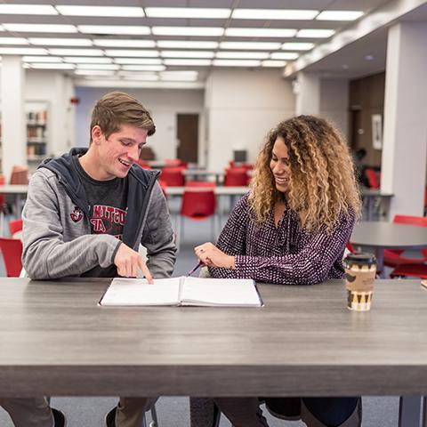 Students study in library