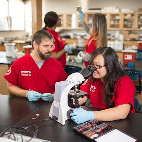 Allied Health students perform experiments in Sundquist lab